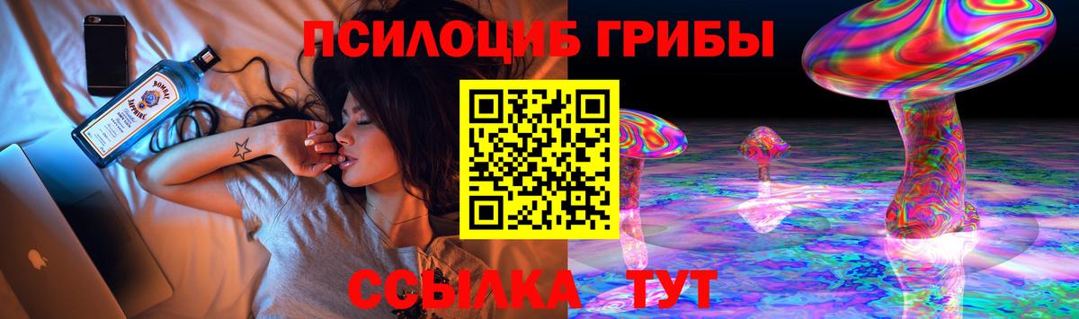 Псилоцибиновые грибы Psilocybine cubensis Бердск